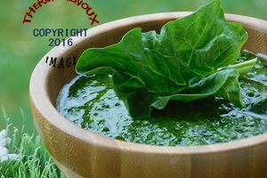 PESTO D'EPINARDS (thermomix)