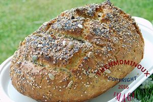 PAIN MULTIGRAINS (thermomix)