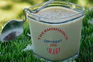 YAOURT AU CARAMEL AU BEURRE SALE A LA MULTIDELICE (thermomix)