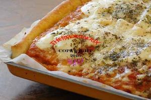 PIZZA TOMATE POULET MOZARELLA (thermomix)