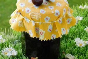 CONFITURE DE CERISES AU TM5 (thermomix)