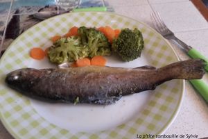 Truite vapeur et ses petits légumes