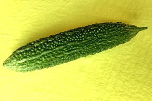 Le concombre à verrues Gôya et recette du Gôya Champuru!