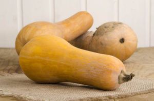 Velouté de butternut à la chataigne