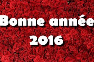 Bonne année 2016!!!