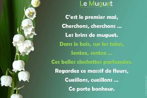 Le muguet