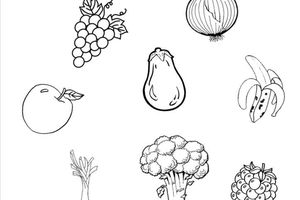 Les fruits et les légumes