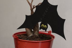 Chauve-souris d'Halloween
