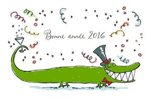 Bonne et Heureuse Année 2016 !