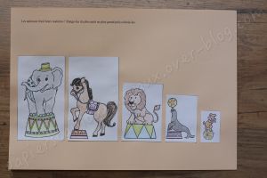 Les animaux du cirques