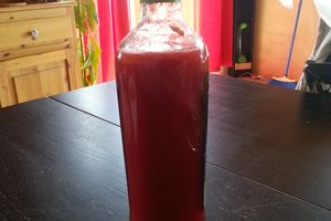 Vinaigre fermenté aux fruits rouges