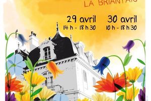 MARCHÉ AUX FLEURS EN IMAGES