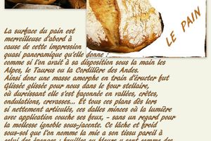 LE PAIN Francis Ponge