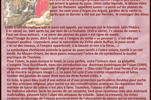 PAON - Pour ceux qui aiment les paons.