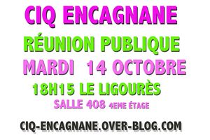 Réunion Publique du CIQ !!