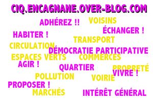 Compte rendu de la Réunion Publique du CIQ !!