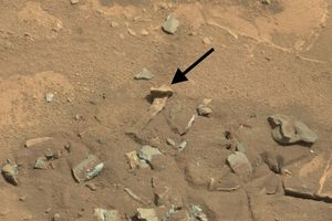 Un fémur sur Mars ?
