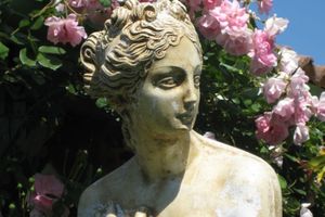 J'aime mes roses ...