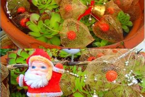 Les Barjo Blogueuses fêtent Noël {et mon Swap Barjo}