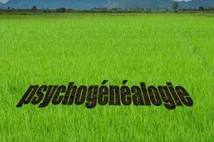 Vous connaissez la psychogénéalogie ?