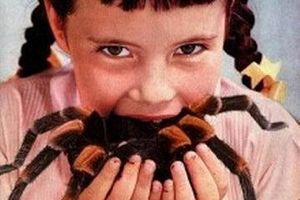 En moyenne, durant une vie, on avale 70 insectes et 10 araignées lorsqu'on dort ! #lundisoleil