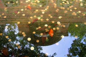 Où va toute la monnaie lancée dans les fontaines?