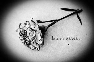 Kiro... Tristesse !