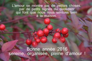 Meilleurs voeux !