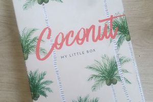 My little coconut box, la box canon de juillet de chez My little box