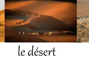 Akli prince du désert