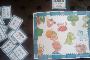 Loto de lecture