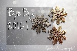 2016, une année bloguesque de folie.... Le bilan !
