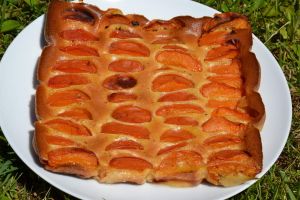 CLAFOUTIS WW aux abricots 