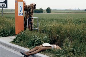 Indiscrétion #1 / Sos d'un animal en détresse !