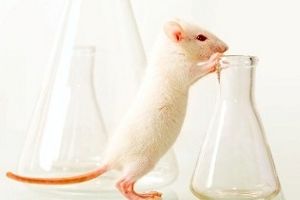 Les chercheurs qui étudient les REM sont-ils indépendants ?