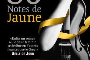 80 notes de jaunes - Vina Jackson
