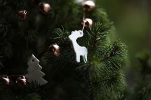 Inspi Pics | les souvenirs de décembre