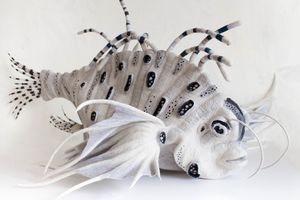 The Fish - January 2017