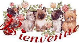 Bienvenue à toutes et à tous