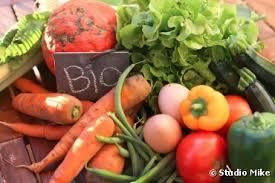 L’irrésistible expansion de l’agriculture biologique