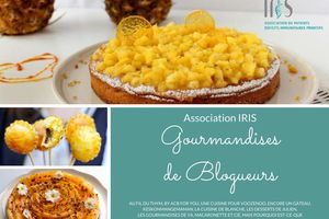 GOURMANDISES DE BLOGUEURS - ASSOCIATION IRIS