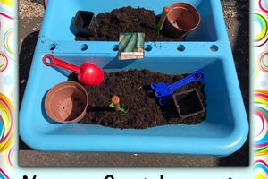 Plantation de courgettes