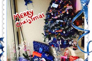 Joyeux Noël 2014