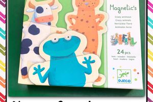 Jeu magnetic's djeco