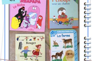 Lecture semaine 21