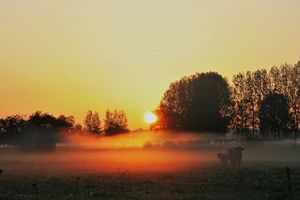 Le jour se lève