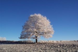 Givre
