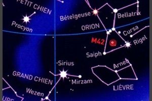 Des étoiles dans la peau