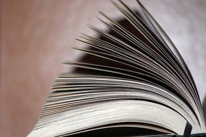 Ecrire . . . "Les pages de la journée"