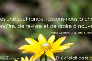 Faire face aux hypocrites
